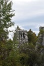 Rocks in forest