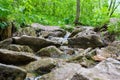 The rocks in the forest stream with clear water were overgrown with moss Royalty Free Stock Photo
