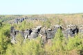 Rocks in forest in Czech Switzerland Royalty Free Stock Photo