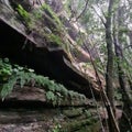 The rocks form a veritable flower box Royalty Free Stock Photo