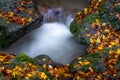 Rocks forming pond in autumnal forest nature