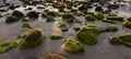 Rocks with green moss