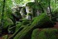 Rocks with green moss called Guenterfelsen in the Black Forest, Germany Royalty Free Stock Photo