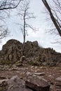 Tree growing on rock formation in German forest Royalty Free Stock Photo