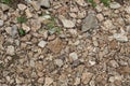 a rocks ground texture