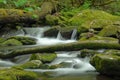 Rocks at Joyce Kilmer Royalty Free Stock Photo