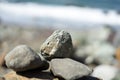 Rocks in Lands End, San Francisco Royalty Free Stock Photo