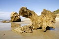 Rocks at low tide on the beach