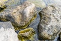 Rocks by the Mediterranean sea on the island of Ibiza in Spain, Royalty Free Stock Photo