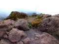 The rocks of Mount Vesuvius