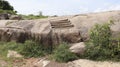 The rocks are natural trees The rock carved staircase is beautiful to look at and the blue sky