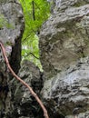 Rocks near Zloty Potok in Poland called Diabelskia Mosty (Devil's Bridges) often used for climbing training