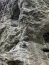 Rocks near Zloty Potok in Poland called Diabelskia Mosty (Devil's Bridges) often used for climbing training