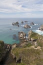 Rocks Nugget Point vertical Royalty Free Stock Photo