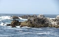 Rocks and the ocean are beautiful at Monterrey Bay. Royalty Free Stock Photo