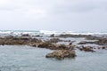 Rocks off the coast in Kleinbaai Royalty Free Stock Photo