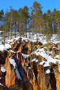 Rocks in Oulanka Royalty Free Stock Photo