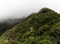 Rocks overgrown with forest next to mangroves in Kilim Geoforest Park, Langkawi Royalty Free Stock Photo