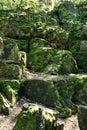 Rocks overgrown with moss Royalty Free Stock Photo