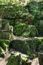 Rocks overgrown with moss