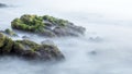 Rocks overgrown with seaweed at coast Royalty Free Stock Photo