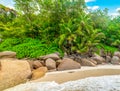 Rocks and palm trees in famous Anse Georgette beach in Praslin island Royalty Free Stock Photo