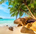 Rocks and palm trees by the sea in world famous Anse Lazio Royalty Free Stock Photo