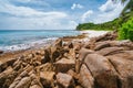 Rocks and palm trees on tropical beach called Police Bay on Mahe Island, Seychelles Royalty Free Stock Photo