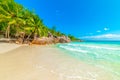 Rocks and palms by the sea in Anse Lazio beach Royalty Free Stock Photo