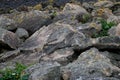 Rocks and Pebbles on a Shingle Coastal Beach Royalty Free Stock Photo