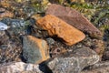 Rocks and pebbles on the shore in the water, various colors and textures