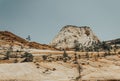 Rocks and picturesque canyons in the Zion National Park. US Natural Parks Royalty Free Stock Photo