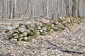 Rocks piled up along edge of hiking trail at Copeland Forest