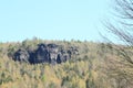 Rocks among pine and birch trees in Czech Switzerland Royalty Free Stock Photo