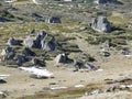 Rocks on a plain in the Snowy mountains Royalty Free Stock Photo