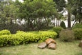 Rocks, plants arranged in spring park background Royalty Free Stock Photo