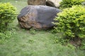 Rocks, plants and lawn arranged in the park