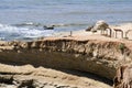 Rocks on Point Loma Landscape Royalty Free Stock Photo