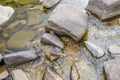 Rocks in the river Royalty Free Stock Photo