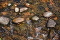 Rocks In River Water Background Royalty Free Stock Photo