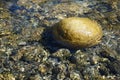 Rocks in River with Water Ripples and Reflections Royalty Free Stock Photo