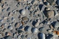 Rocks on riverbank in Dyea, Alaska