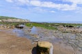 Rocks, rock pools and seaweed on Robin Hoods Bay beach Royalty Free Stock Photo