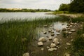 Rocks and rushes on a lake shore Royalty Free Stock Photo