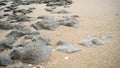 Rocks And Sand on Beach Royalty Free Stock Photo