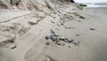 Rocks and sand near the Pacific Ocean at the Goleta Slough