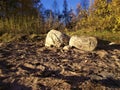 Two big rocks at beach