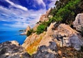 Rocks on the sea