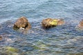 Rocks in the sea on a background. Rocky coast in the sea, close-up of the stones Royalty Free Stock Photo