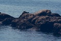 Rocks in the sea, Crete Greece